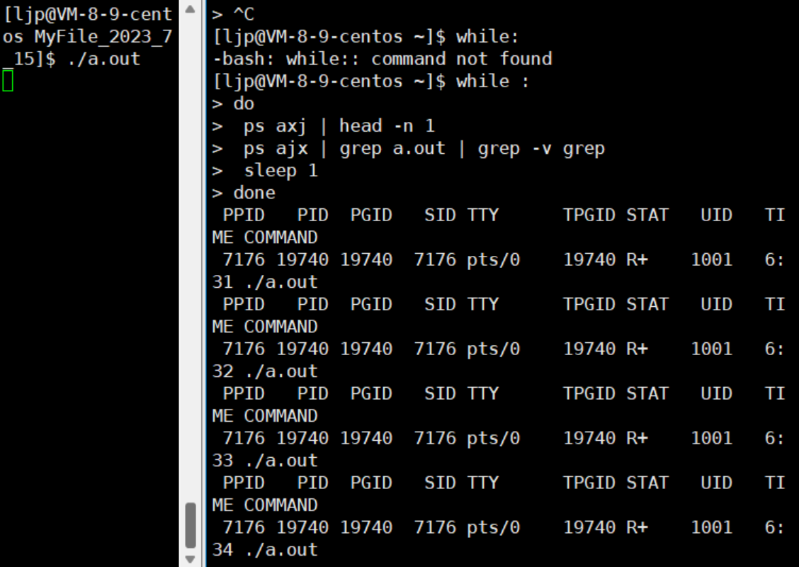 9c197563-28c5-4d8c-8ad1-7419a3702121