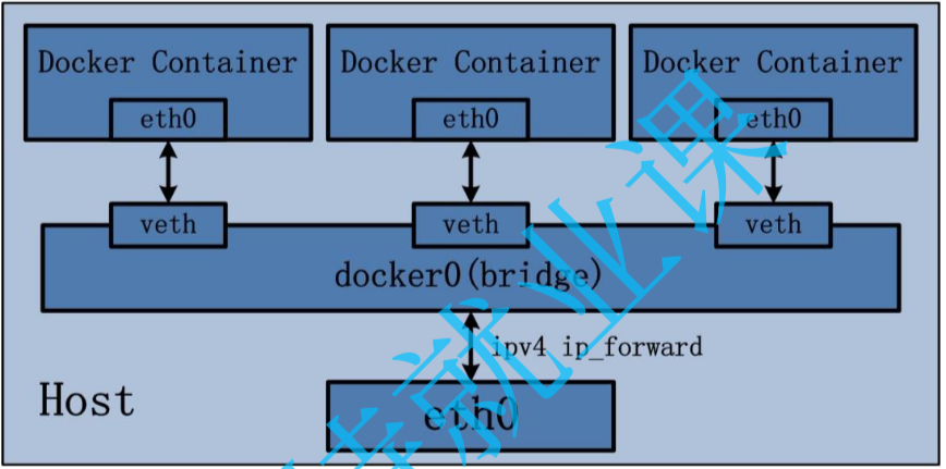 image-20240920190050185